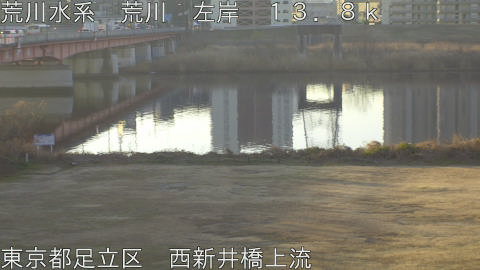 arani2026011608_image