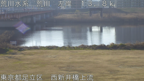 arani2026011609_image