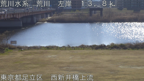 arani2026011612_image