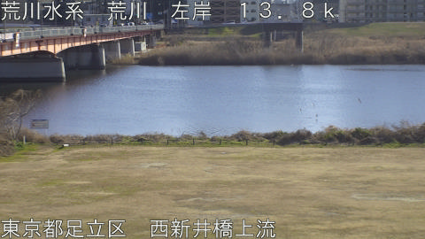 arani2026011614_image