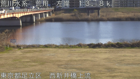 arani2026011615_image