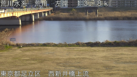 arani2026011616_image