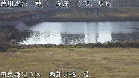 arani2026011709_image