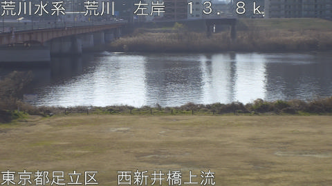 arani2026011710_image