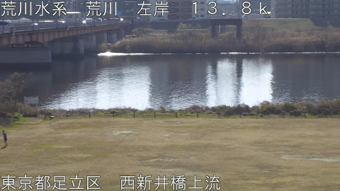 arani2026011711_image