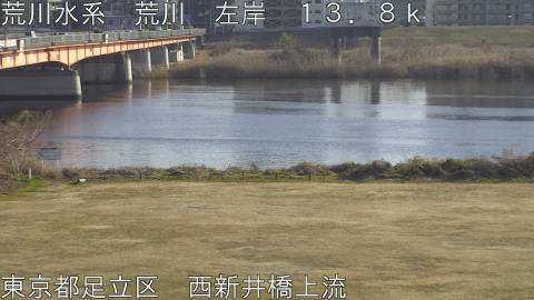 arani2026011715_image