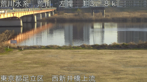 arani2026011716_image