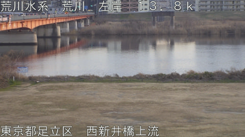 arani2026011717_image