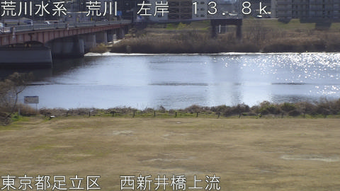 arani2026011812_image