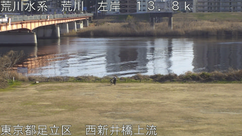 arani2026011815_image