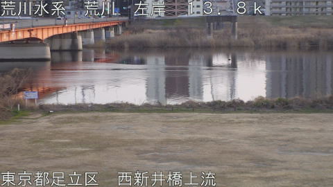 arani2026011817_image