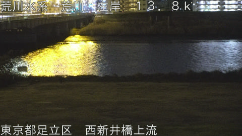 arani2026011823_image