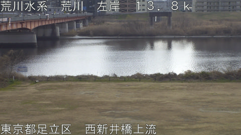 arani2026011913_image