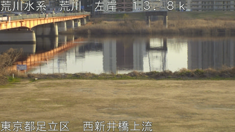 arani2026011916_image