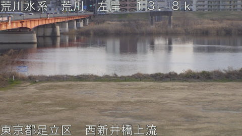 arani2026011917_image