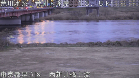 arani2026012107_image