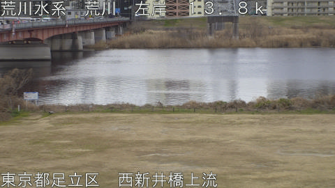 arani2026012109_image