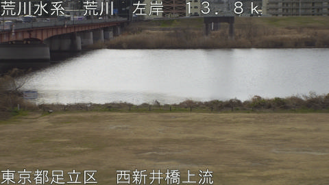 arani2026012110_image