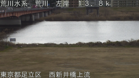 arani2026012111_image