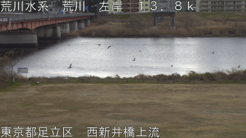 arani2026012112_image