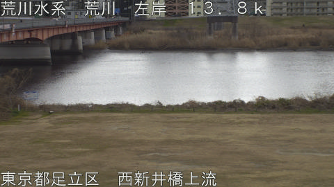 arani2026012113_image