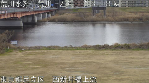 arani2026012114_image