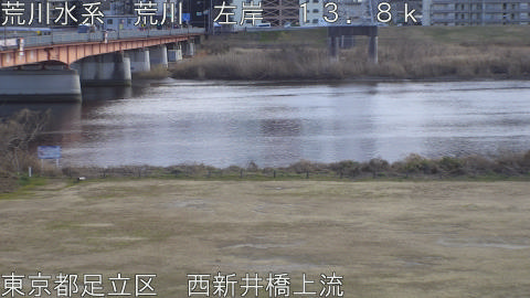 arani2026012115_image