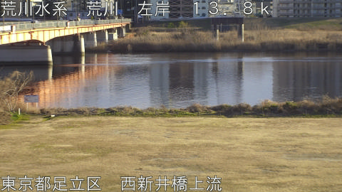 arani2026012116_image