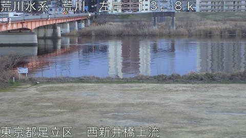 arani2026012117_image