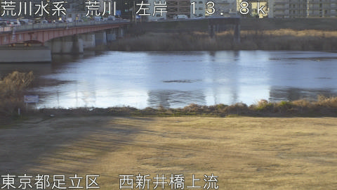 arani2026012208_image