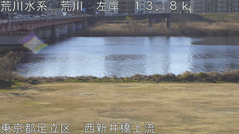 arani2026012209_image