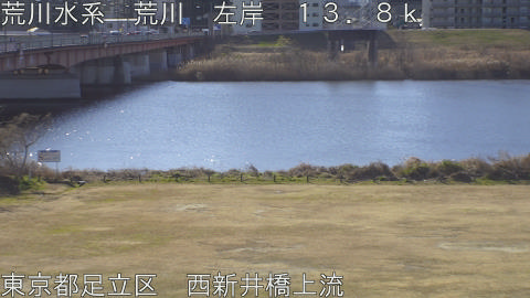 arani2026012210_image