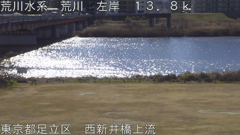 arani2026012211_image