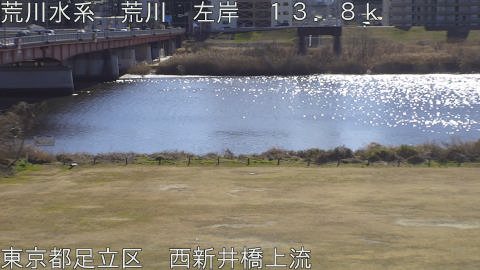 arani2026012212_image