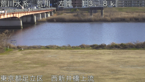 arani2026012215_image