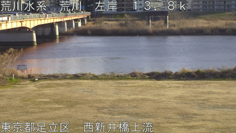 arani2026012216_image