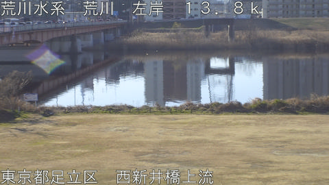 arani2026012309_image