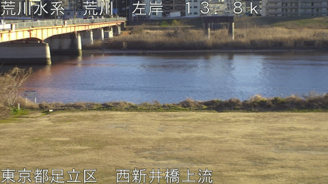 arani2026012316_image