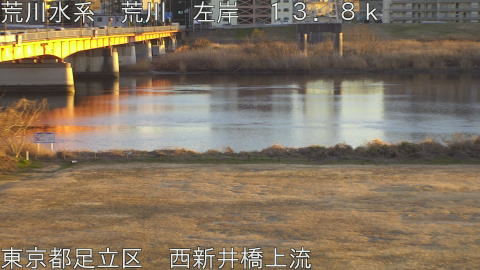 arani2026012317_image