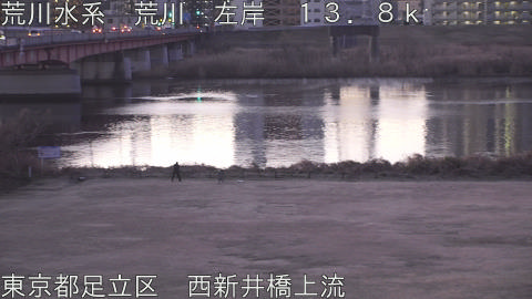 arani2026012407_image