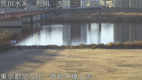 arani2026012408_image