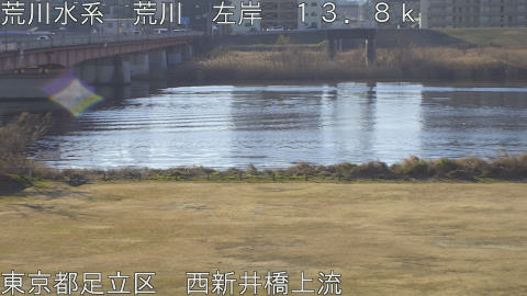 arani2026012409_image