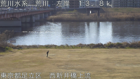 arani2026012410_image