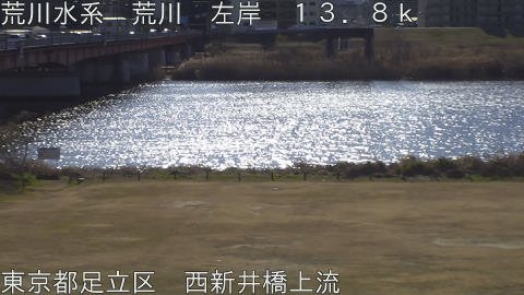 arani2026012411_image