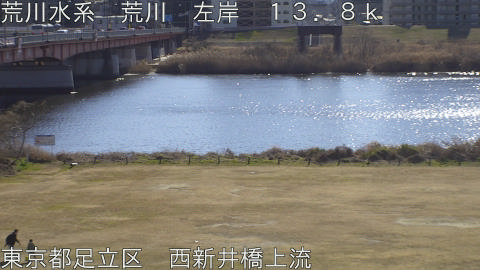 arani2026012412_image