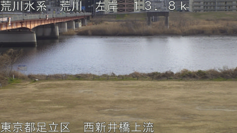 arani2026012414_image