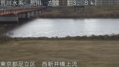 arani2026012415_image