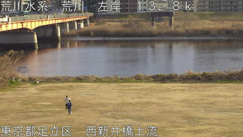 arani2026012416_image