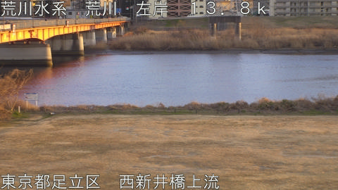 arani2026012417_image