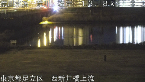 arani2026012502_image